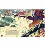 EDITIONS NATHAN - Livre enfant - jungles et réserves naturelles 