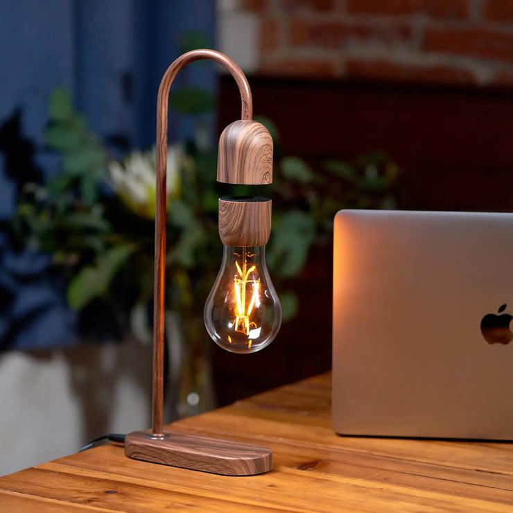 Lampe Evaro Bulb - Bois Marron - Gingko