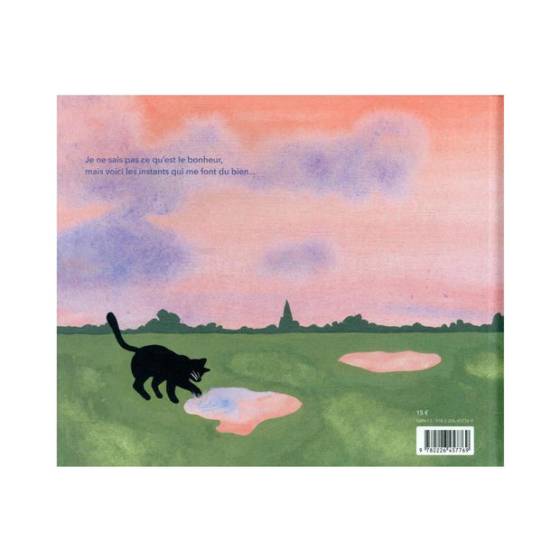 Livre C'est sûrement le bonheur - Albin Michel