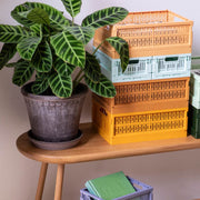 Caisse de Rangement Pliable - Midi Fudge