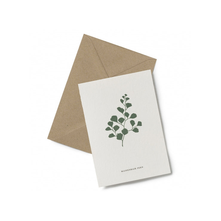 Carte Maidenhair Fern - Kartotek
