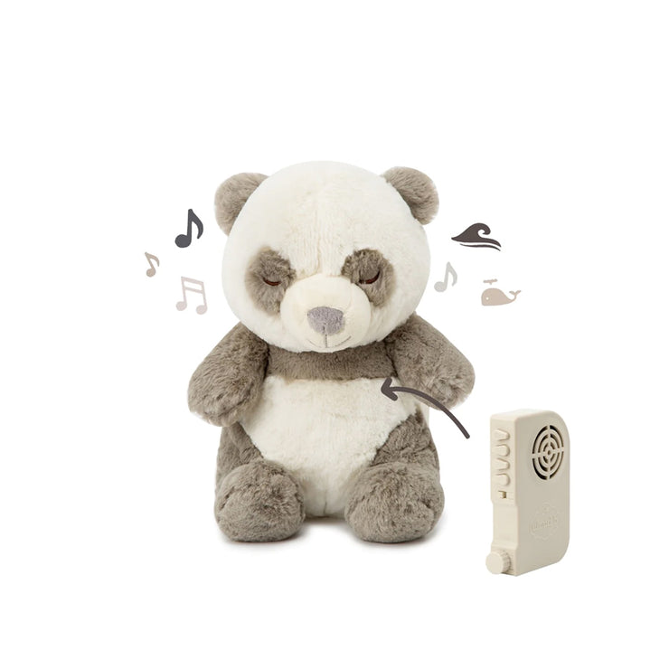 Peaceful Panda - Cloud b