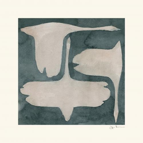 Affiche 50x50 - Jorgen Hansson - The Swan III