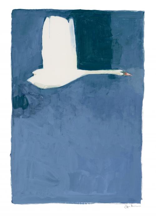 Affiche 50x70 - Jorgen Hansson The Swan