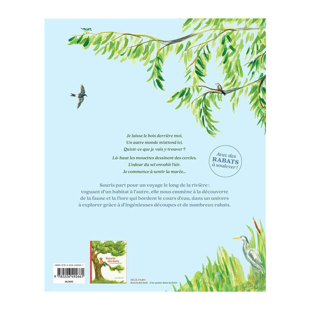 Livre Le voyage de souris sur la rivière - Albin Michel