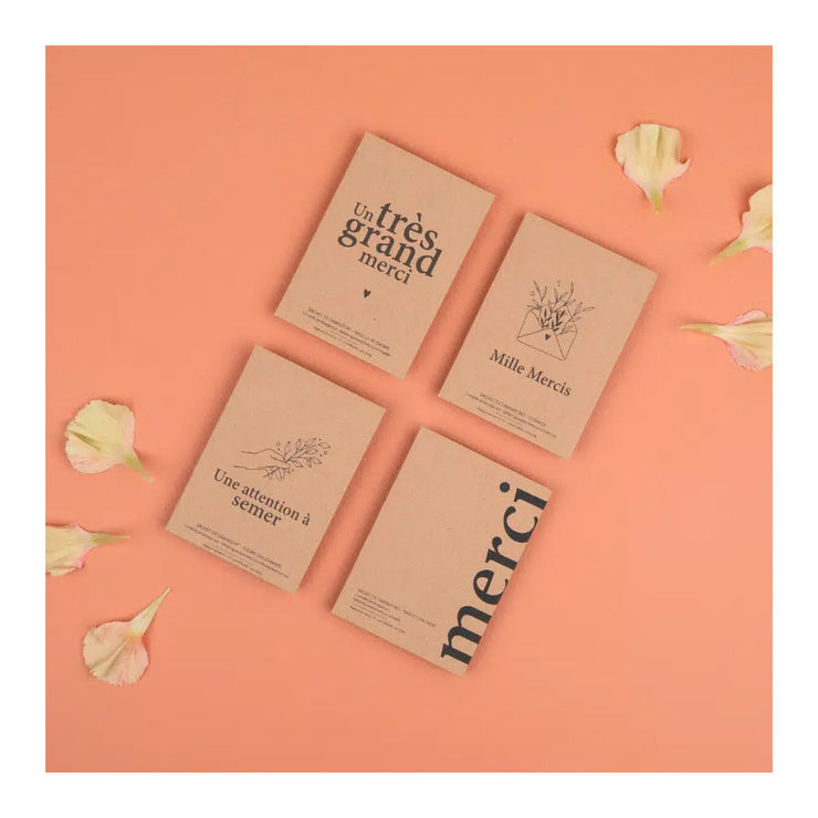 Mille Mercis- sachet de graines de cosmos- La Fabrique à sachets