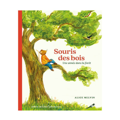 Livre Souris des bois - Albin Michel