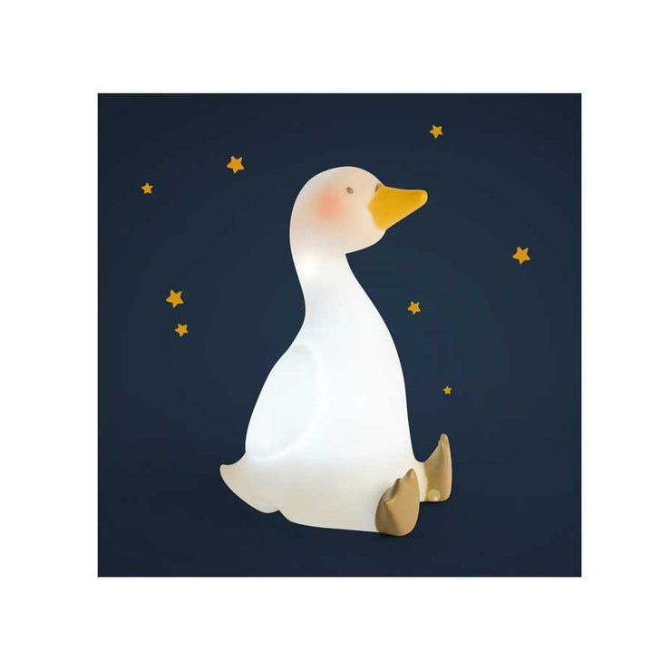 Veilleuse la petite école de danse - Moulin Roty