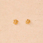 Boucles d'oreilles Aleli - Agapée