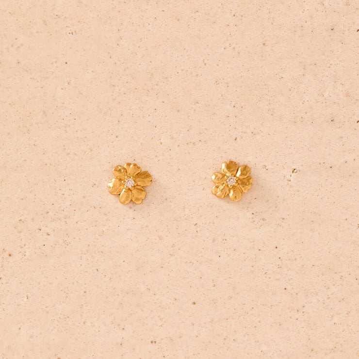 Boucles d'oreilles Aleli - Agapée