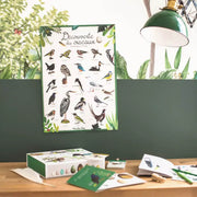 Coffret découverte des oiseaux - Moulin Roty