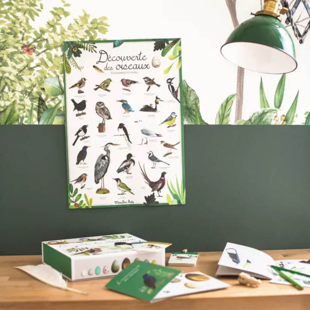 Coffret découverte des oiseaux - Moulin Roty