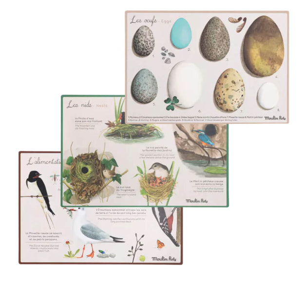 Coffret découverte des oiseaux - Moulin Roty
