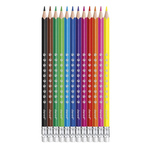 Crayons Effaçables - Janod