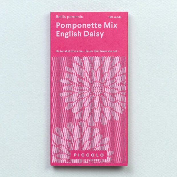 Pâquerettes Anglaises Pamponette Mix - Piccolo Seeds