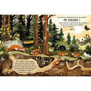 Livre Dans la forêt secrète - Kimane