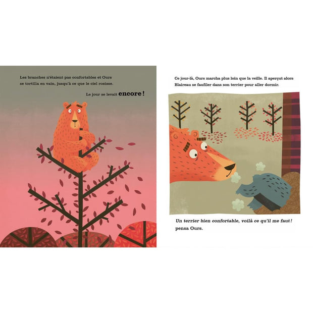 Livre L'ours qui ne trouvait pas le sommeil - Kimane