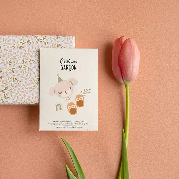 C'est un Garçon - Sachet de Graines - La Fabrique à Sachets