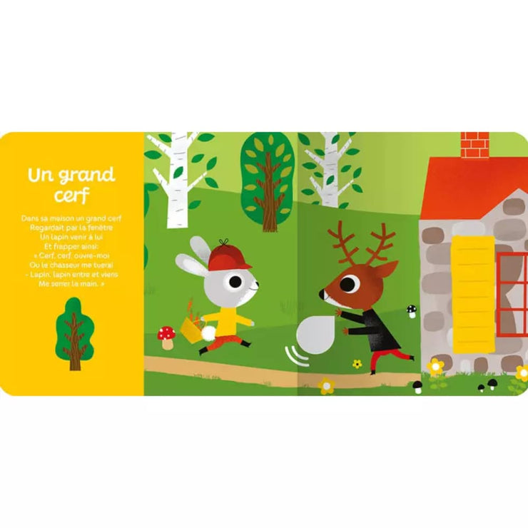 Livre Mes comptines d'animaux - Auzou