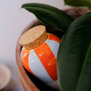Olla - Rayée Orange et Bleu - Pépin