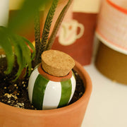 Olla - Rayée Vert et Blanc - Pépin