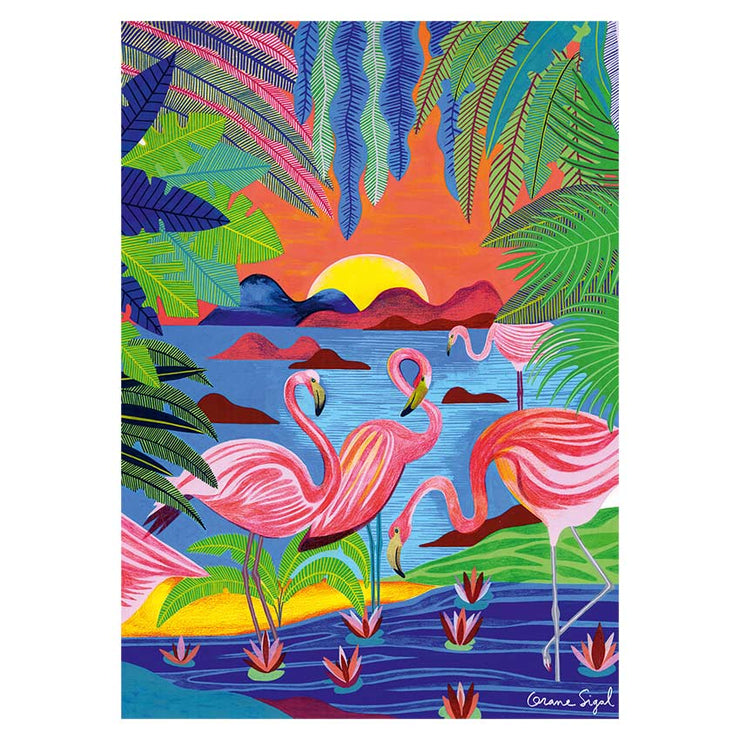 Flamants Roses  -  Puzzle 1000 pièces