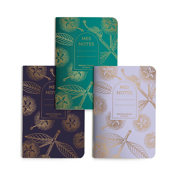 TRIO PETITS CARNETS - POMPONS - LES ÉDITIONS DU PAON