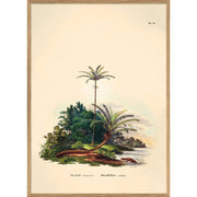 Affiche Palmier A2 - Elaeis - French Blossom