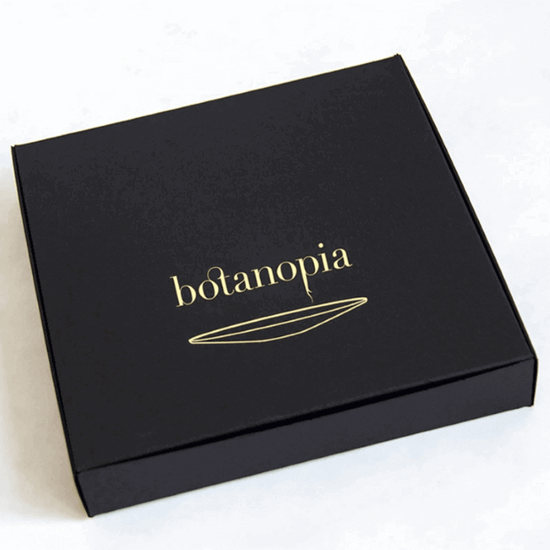Coffret cadeau - Pour cultiver des plantes dans l'eau