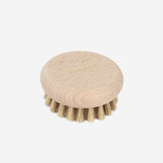 Brosse exfoliante - Tradition