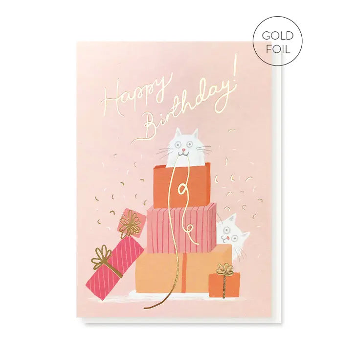Carte Double "Happy Birthday" Chats - Stormy Knight