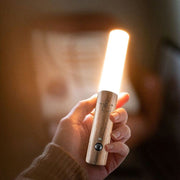 Gingko - bâton lumineux intelligent - décoration lumineuse originale - smart baton light walnut - cadeau