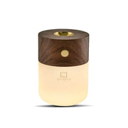 Gingko - magnifique diffuseur lumineux - walnut - smart diffuser light - ambiance chaleureuse et détente