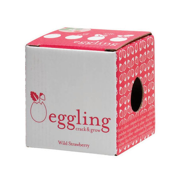 Eggling Fraises à faire pousser soi-même - Noted