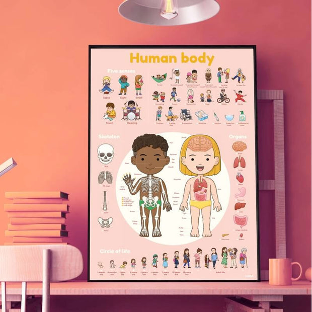Poppik - Set poster et stickers sur Le corps humain