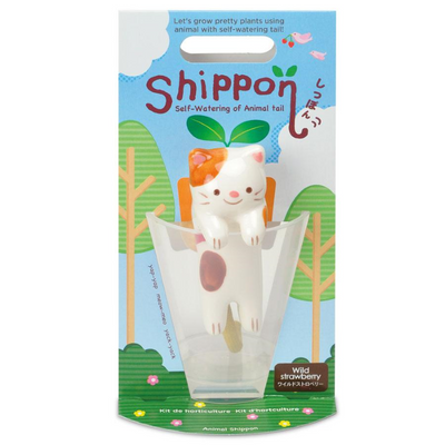 NOTED - petit chat mignon à réserve d'eau - fraisier - cadeau enfant
