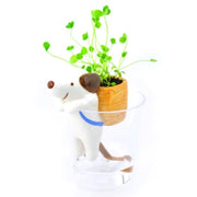 NOTED - Chien en céramique à réserve d'eau - plante à faire pousser - cadeau enfant