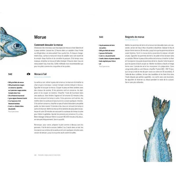Livre de cuisine Espagne - recettes espagnoles - PHAIDON