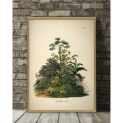Ajouter une touche de verdure et de design à votre intérieur avec cette affiche Mauritia Aculeata en format 50x70cm imaginée par la marque The Dybdahl Co
