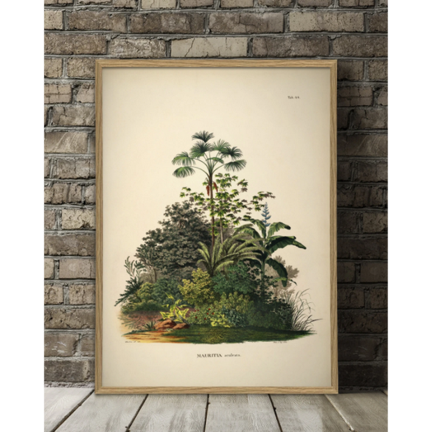Ajouter une touche de verdure et de design à votre intérieur avec cette affiche Mauritia Aculeata en format 50x70cm imaginée par la marque The Dybdahl Co
