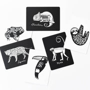 WEE GALLERY - cartes imagier - rainforest - éveil enfant