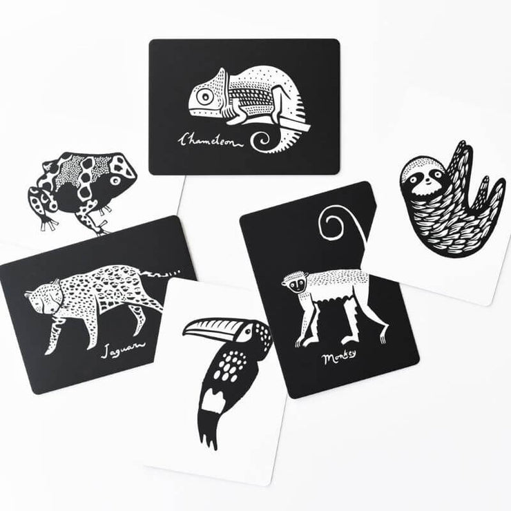WEE GALLERY - cartes imagier - rainforest - éveil enfant