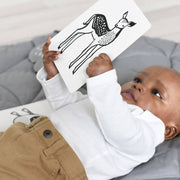 WEE GALLERY - cartes imagier - rainforest - éveil enfant
