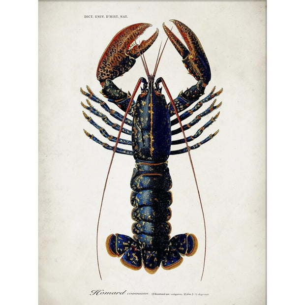 Affiche Homard A2 - The Dybdahl Co