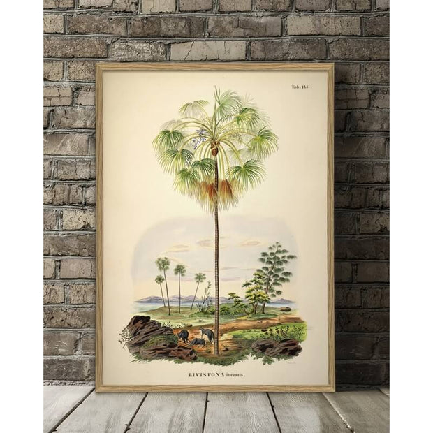 affiche-palmier-the-dybdahl-50x70cm