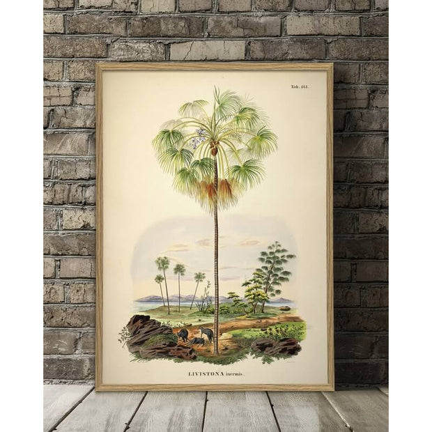 the-dybdahl-affiche-palmier-scene-70x100cm