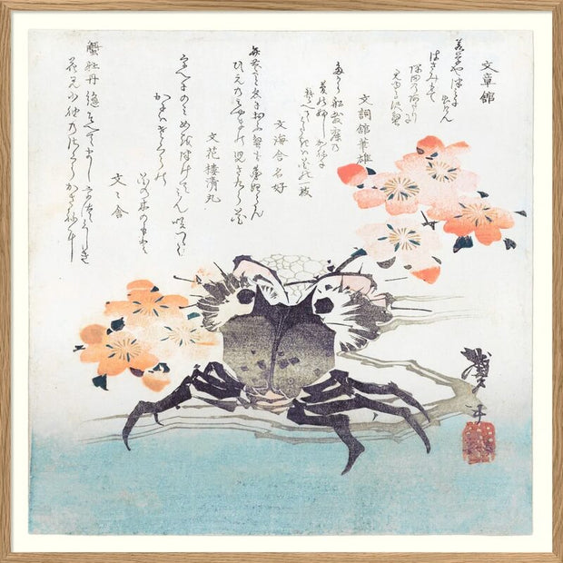 Affiche Crabe 30x30 - The Dybdahl Co