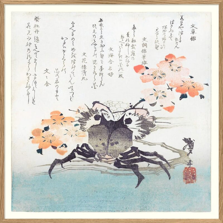 Affiche Crabe 30x30 - The Dybdahl Co