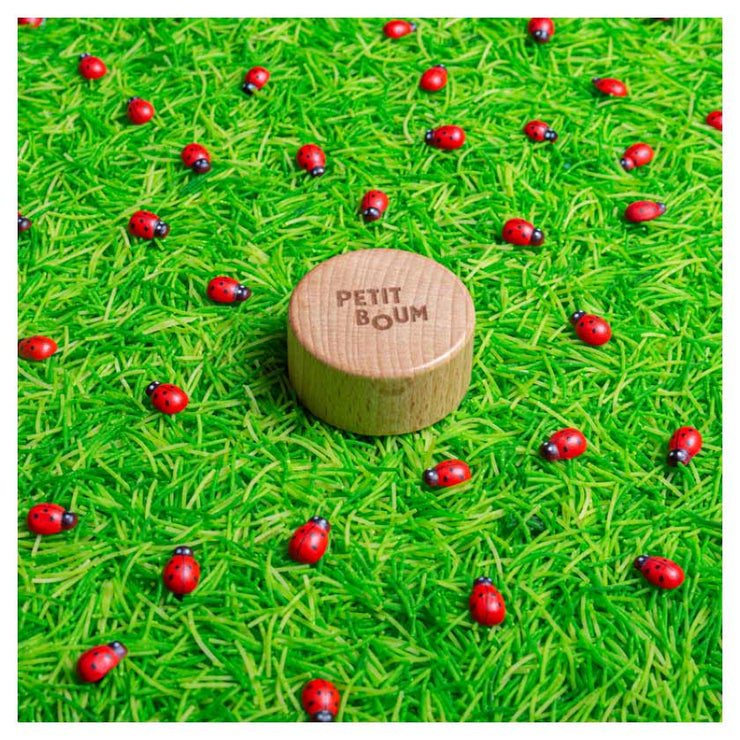 Bouteille Sensorielle Sound Ladybirds - Petit Boum