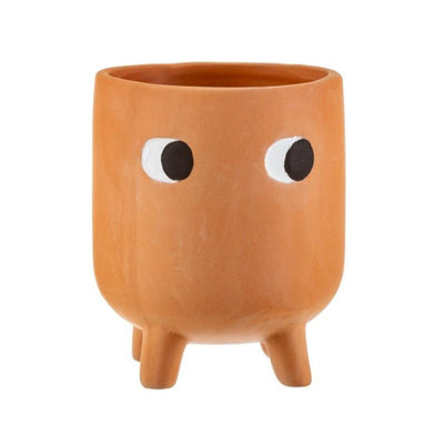 Cache-pot Little Leggy